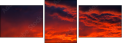 54554863