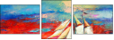 54800569