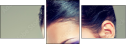 54860040