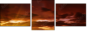 54860114