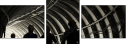 54870569