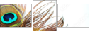 54904462