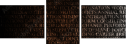 54969981