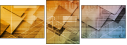 54970423
