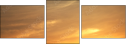 54974402