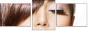 55088059