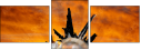 55164339