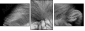 55206469