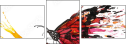 55217486