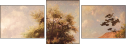 55361975