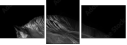 55501476