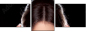 55595313
