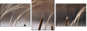 55661015