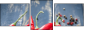 55751143