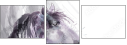 55806223