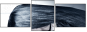 55810226