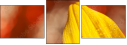 55820987
