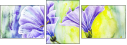 55838203