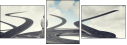 55855038