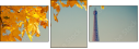 55873344