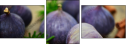 55956609