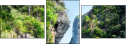 55960324
