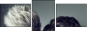 56245304