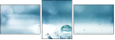56349902