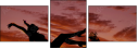56391467