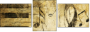 5643987