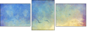 56482260