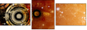 5648461
