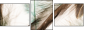 56562123