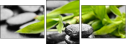 56688548