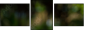 56795972