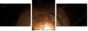 56940386