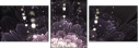 57185040