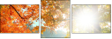 57194440