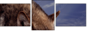 57250614