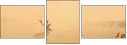 57269660