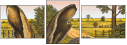 57328279