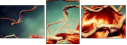 57362714