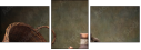 57583007