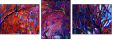 57599283