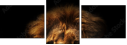 57644723