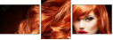 57663589
