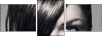 57663619