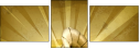 57686954