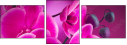 58002130