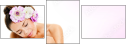 58205334